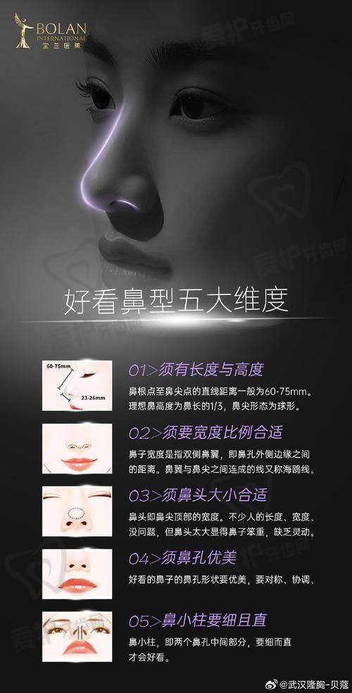 如何选择：出彩国内鼻46000元起是否适合你？