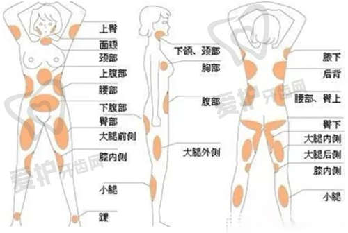 额头填充项目