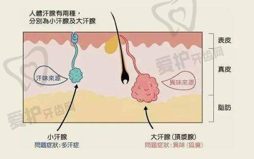 沈科医生与热门手术项目