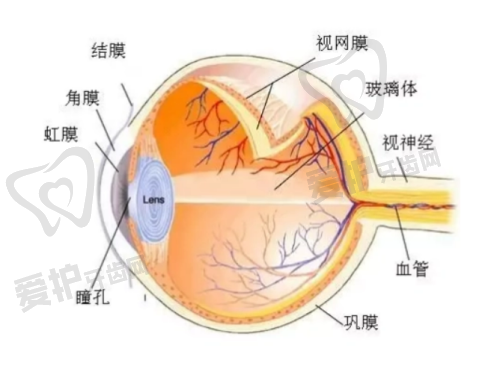 吉大二院眼科院区和手术楼位置信息