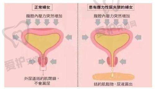 上海侣同帅眼的环境如何?