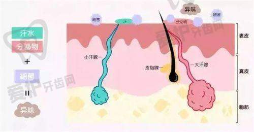 低价陷阱:贪便宜的代价