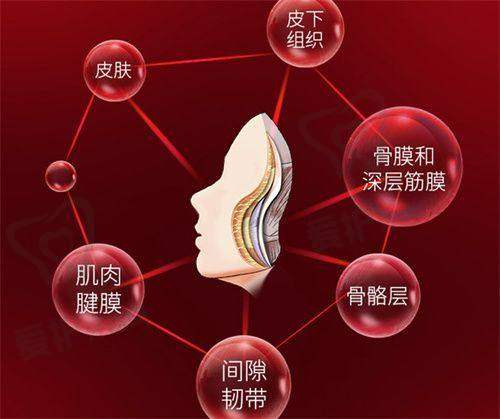 服务质量对比:青岛诺美德和诺德谁能提供更好的体验?