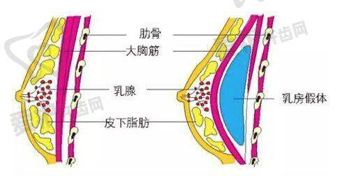 六、武汉紫荆医院医疗美容科患者评价：