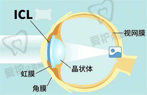 这些医院的手术价格有何差异?