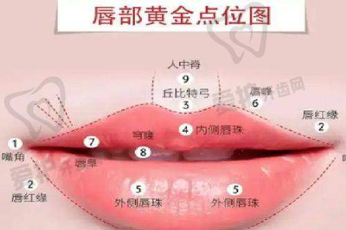 三、上海艺星医疗美容医院基本资料: