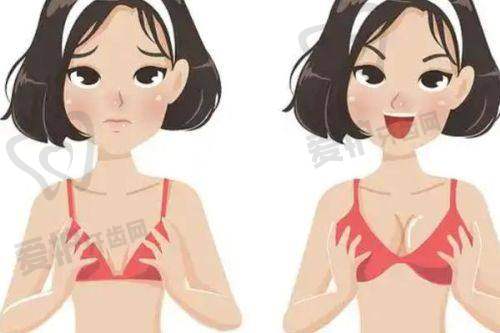 捷克水分子丰胸技术的原理