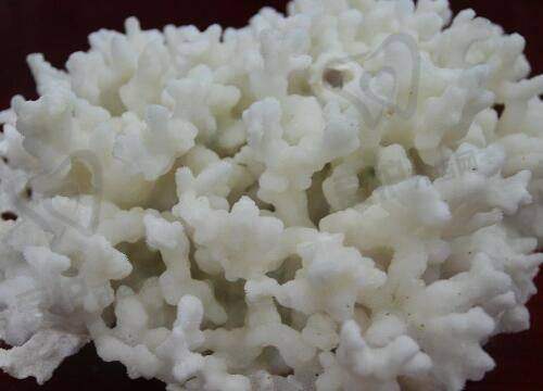 不错技术:塑造美丽的魔法