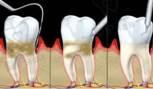 四、乌鲁木齐天使口腔-友好路院区坐诊医生：
