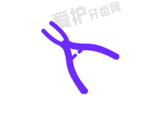 七、贵州盘州雅唯口腔患者评价：