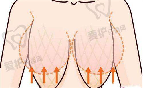 4、哈尔滨瑞丽杨永胜医生社会职称