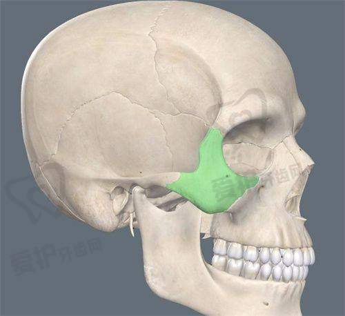 2、哈尔滨瑞丽杨永胜医生擅长项目: