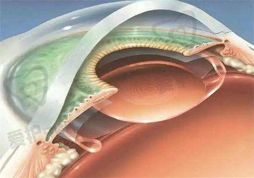 周末乌鲁木齐普瑞眼科医院营业吗?