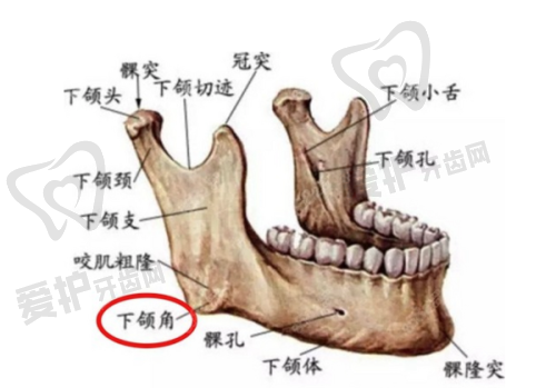 李在郁医生能为患者带来怎样的美丽新征程?