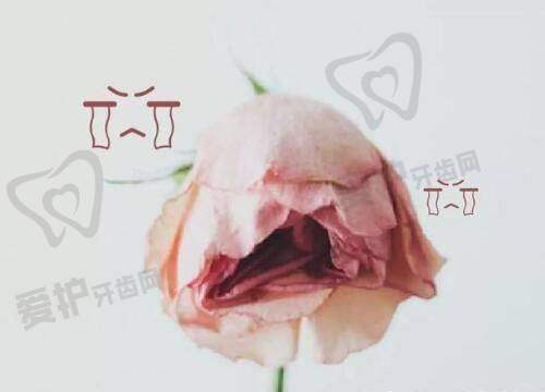 顾客的真实反馈对天津美莱医学美容医院口碑有何影响?