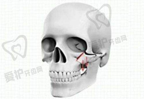 重庆军美和华美口碑评价哪个更佳？