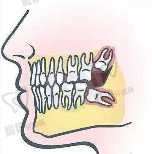 五、榆林市德系口腔门诊部收费价格: