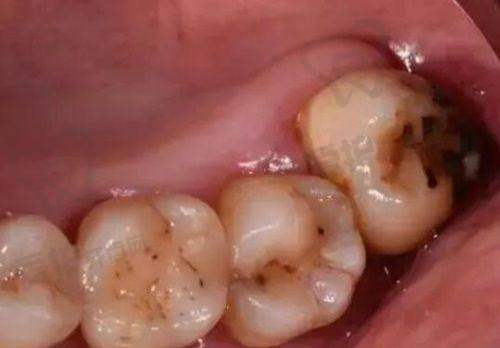 合理收费，性价比极高