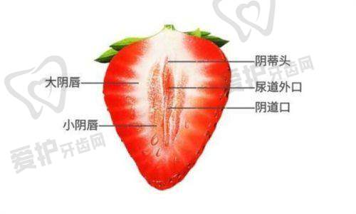 李在郁医生:注射玻尿酸轮廓提升的骨干医生