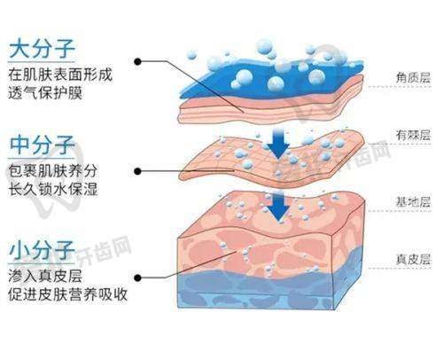 李在郁医生的不错技艺体现在哪些方面?