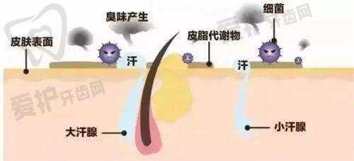 深圳阳光罗志敏医生擅长项目