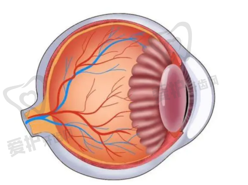 郑州爱尔眼科医院的口碑如何?