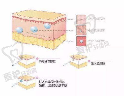 杭州浮想国蒋铮铮医生社会职称