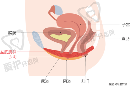 选择重庆军美刘艳医生做3D生物束带紧缩术有哪些优势?