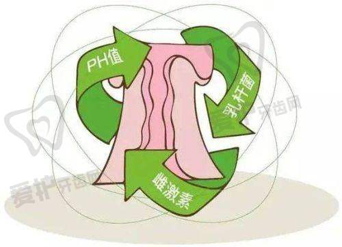 3D生物束带紧缩术是什么?